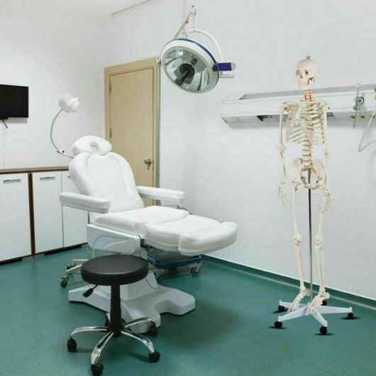 70.8 Inch Human Skeleton Model for Anatomy