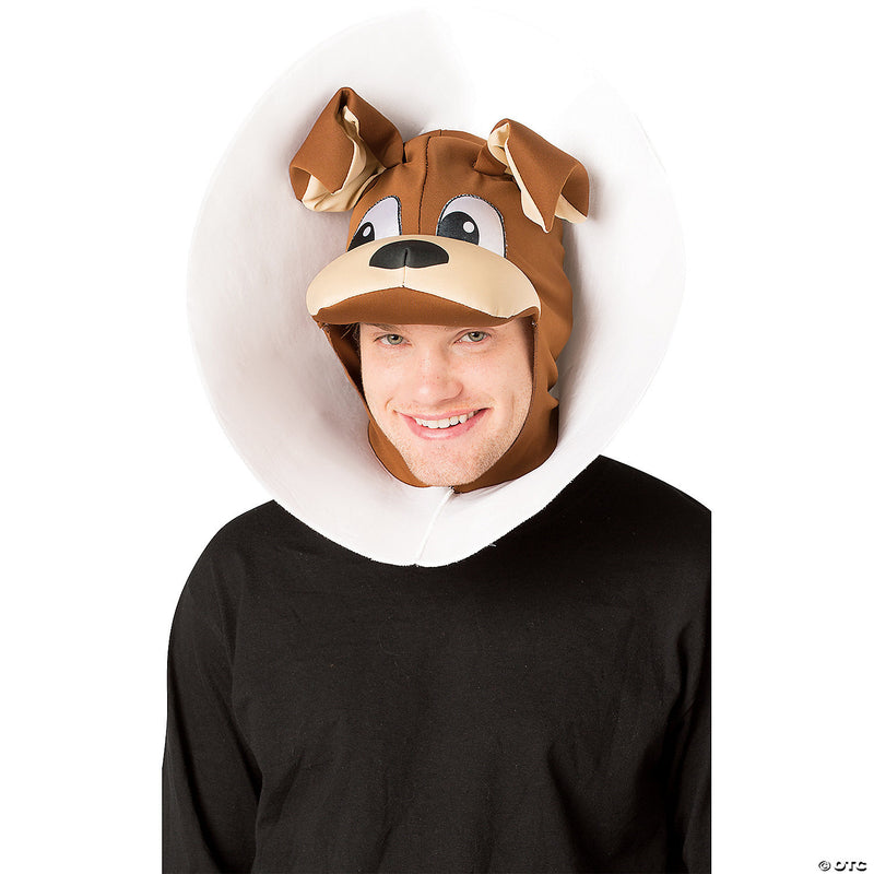 Adult puppy in cone headpiece