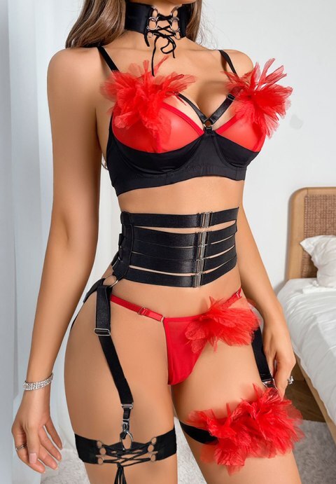 Captivating Desire Mesh Bra Set