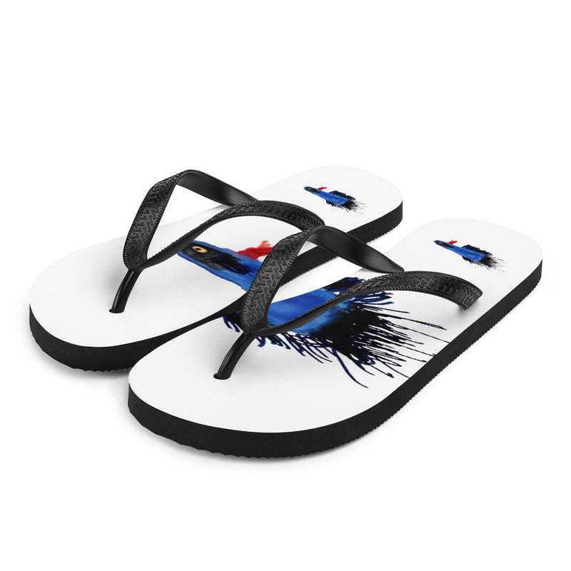 Flip-Flops betta fish